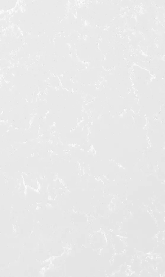 Pacific Grey