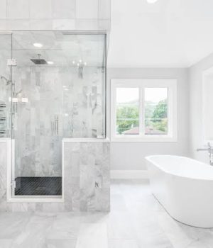 bathroom renovation