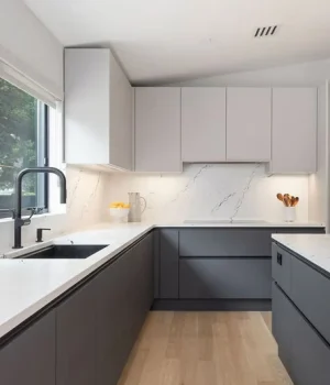 kitchen renovation 1